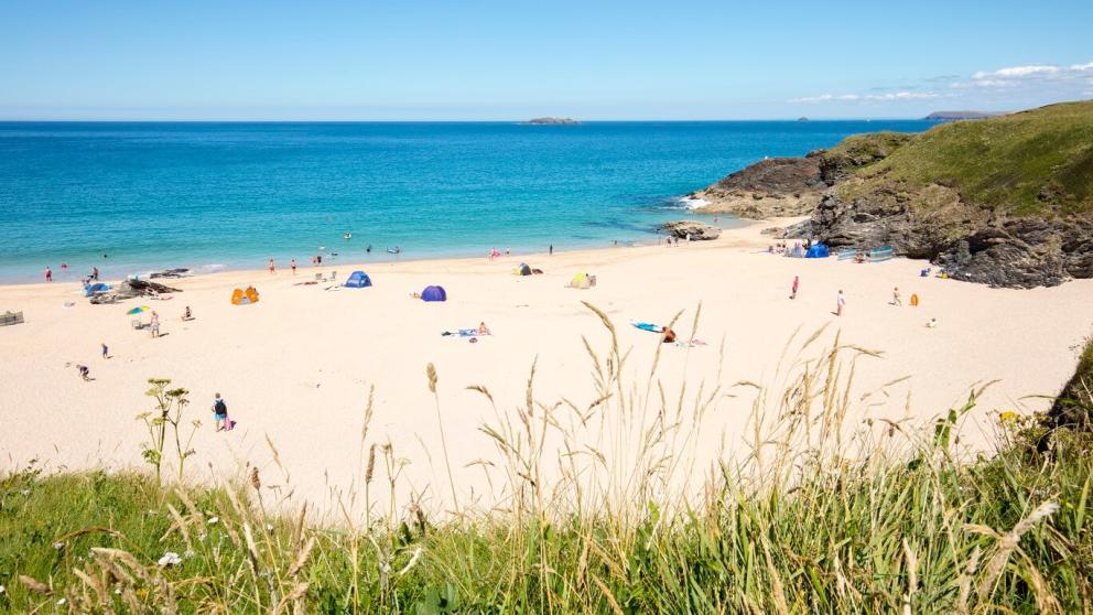 Our five favourite dog walks in and around Rock